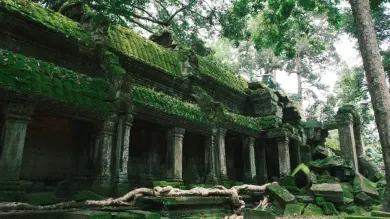柬埔寨，树木掩映下长满青苔的石砌寺庙